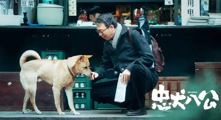 如何解决地区限制示例